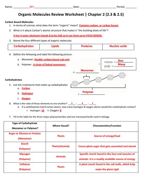 biological molecules review worksheet answers